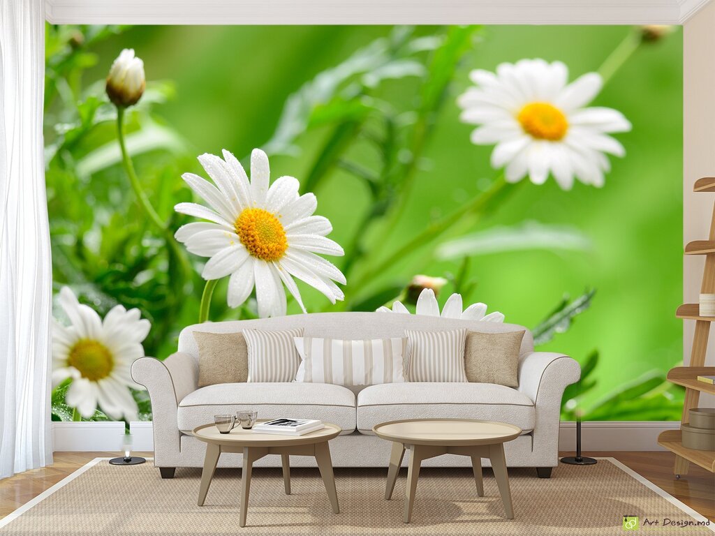 Photo wallpaper daisies on the wall