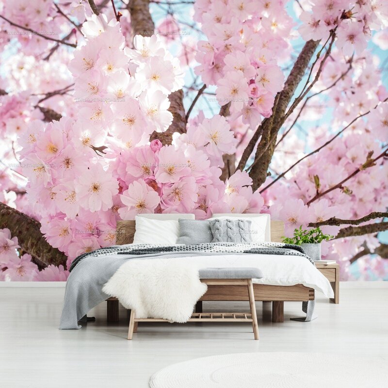 Photo wallpaper Sakura branch