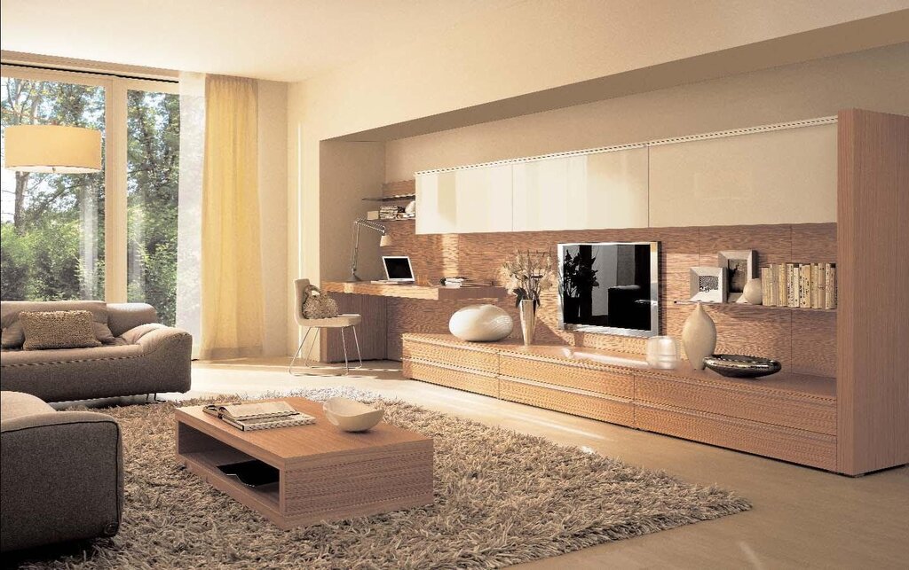 Living room wall unit in a modern style