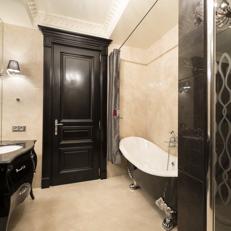 The interior of the bathroom with a dark door