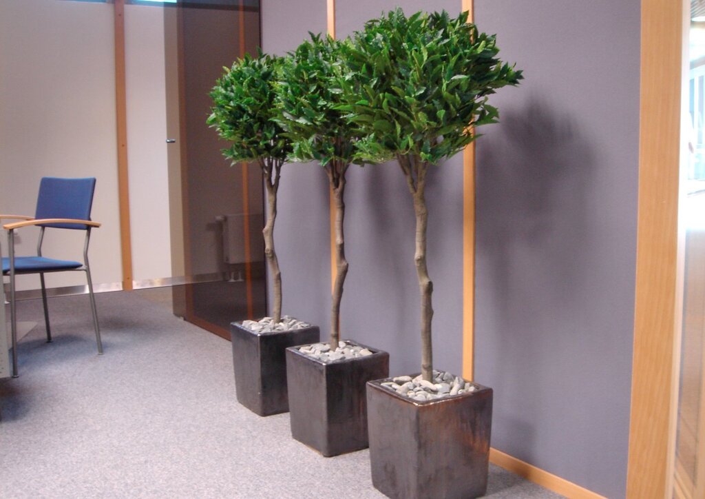 Artificial tree for interior 9 фото