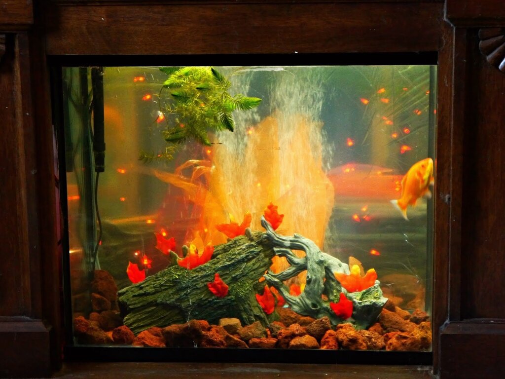 Fireplace aquarium