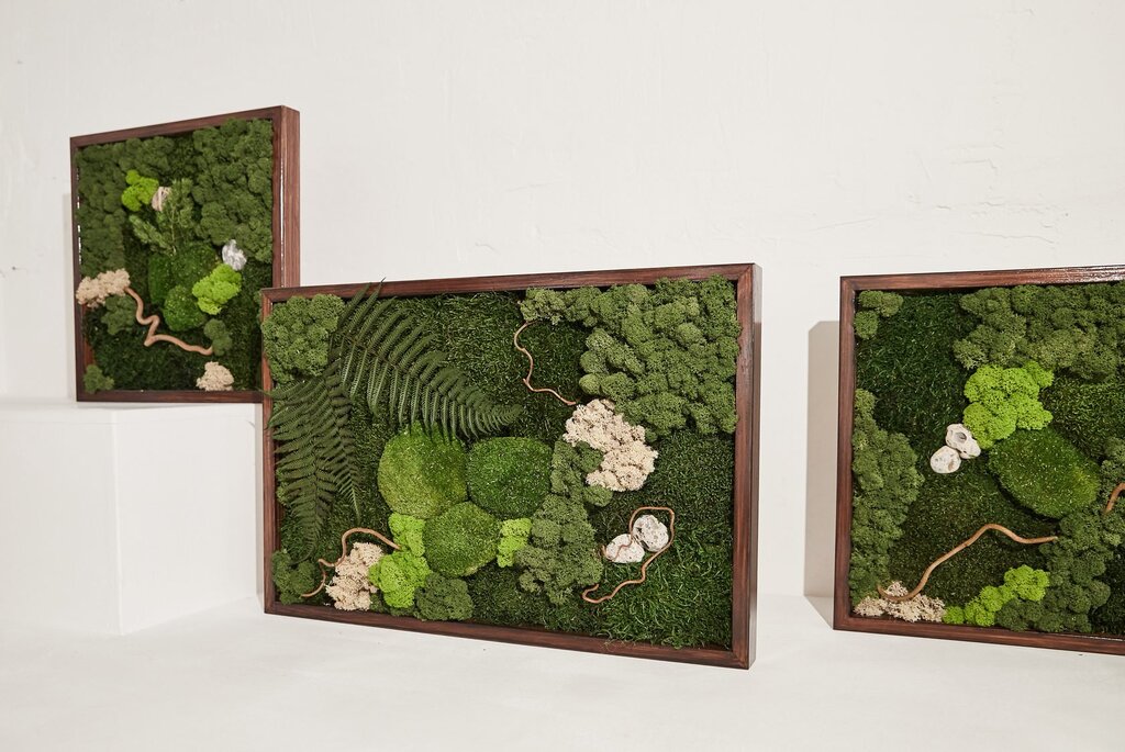 Paintings made of moss in the interior