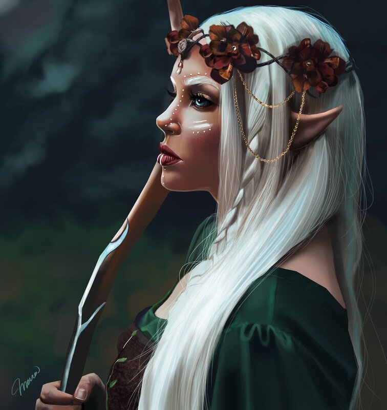 Pictures of an elf