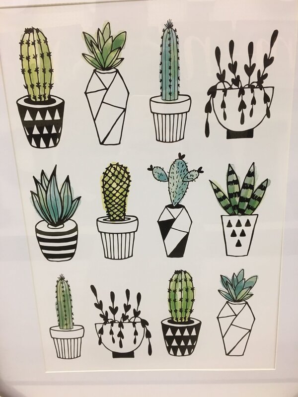 Cactus pictures for drawing