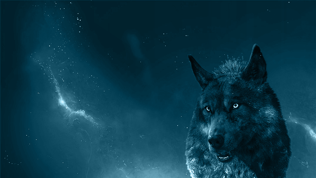 Wallpapers wolf