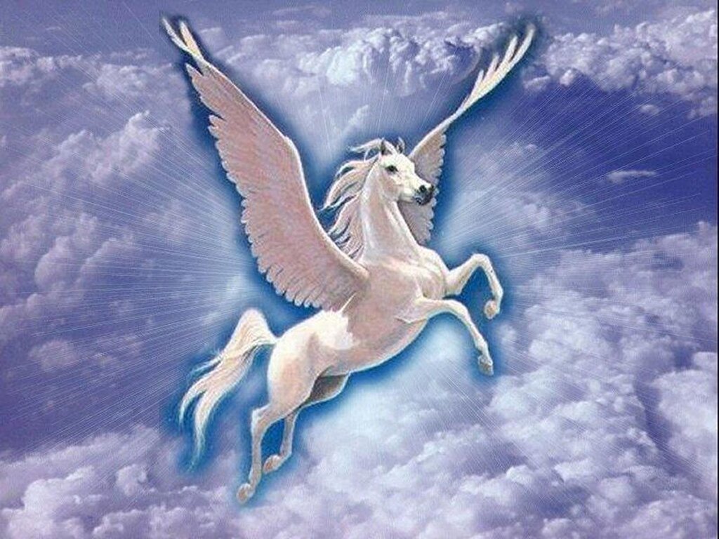 Pictures of a pegasus