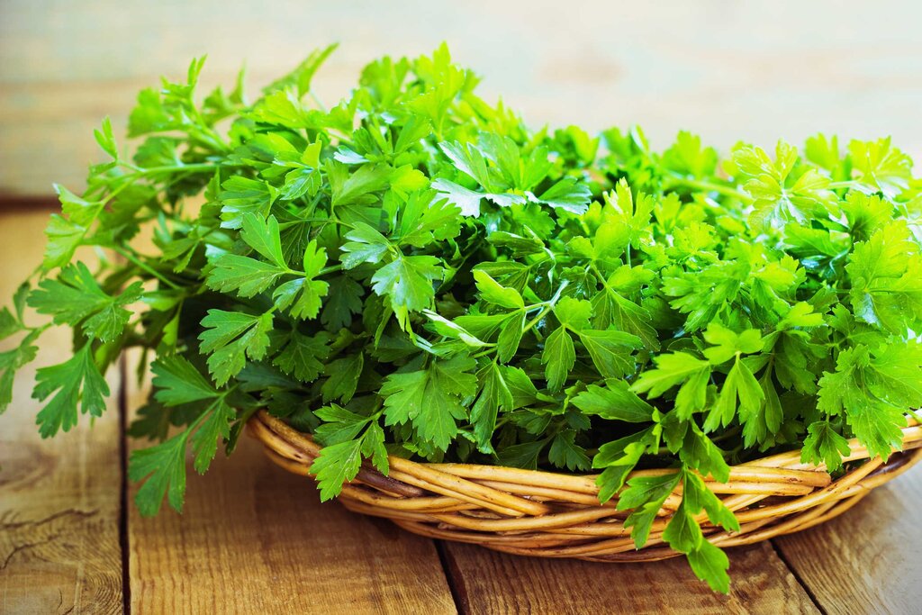 Parsley pictures