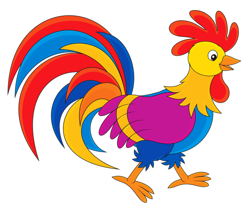 Pictures of a rooster