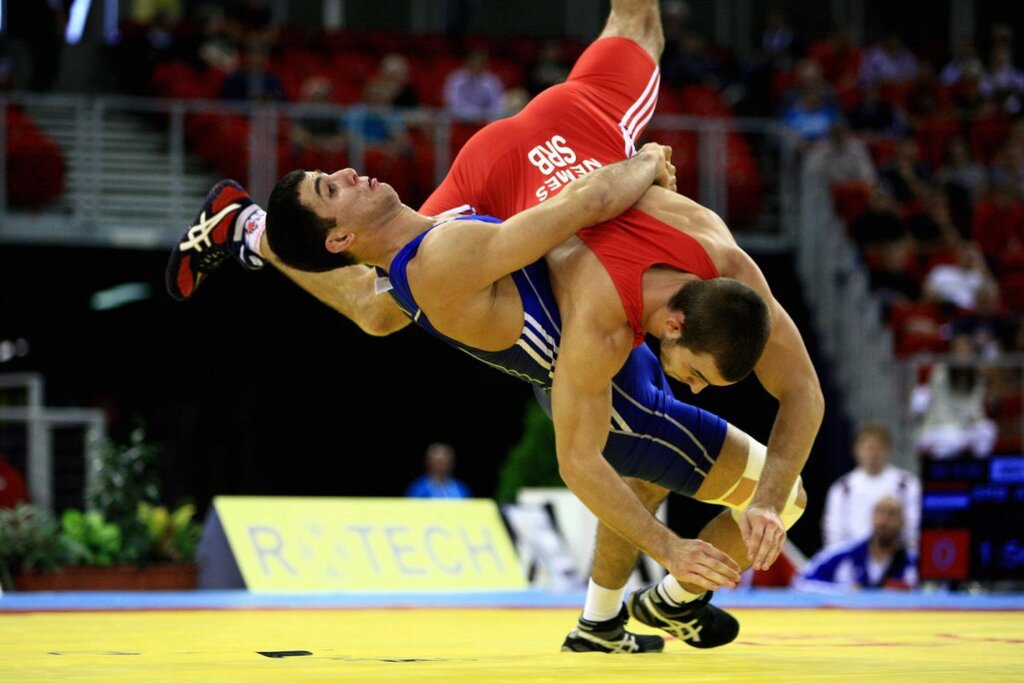 Freestyle wrestling pictures