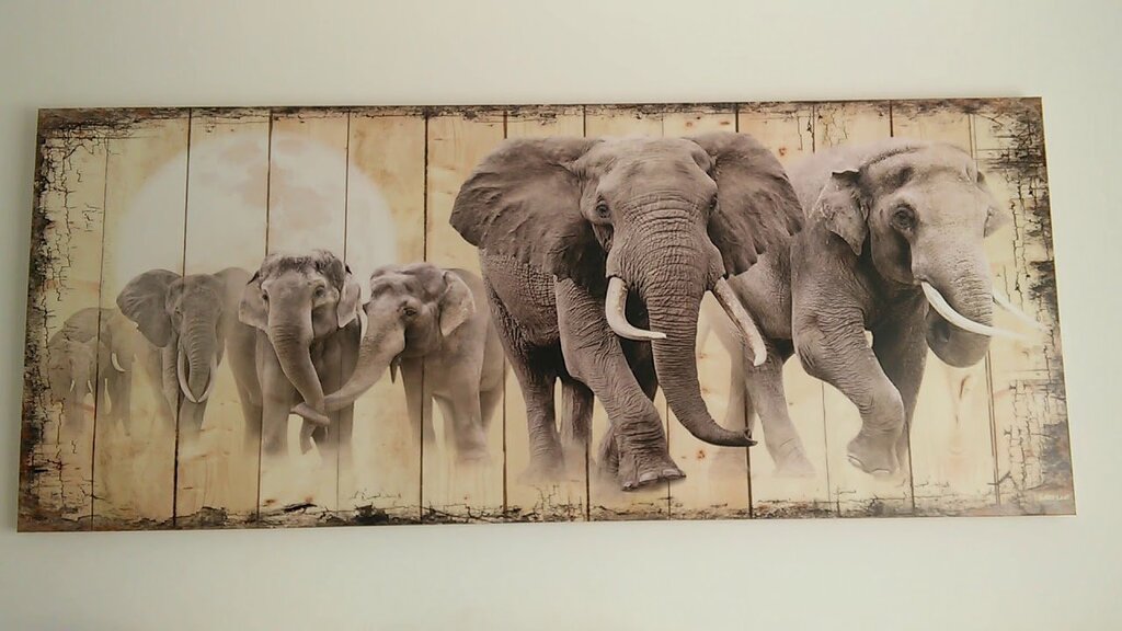 Ceramic tile elephants