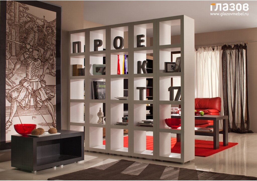 Bookshelf partition