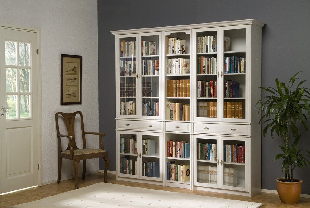 Bookshelves and shelves