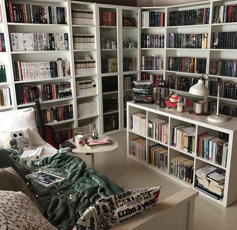 The room is a library in the apartment