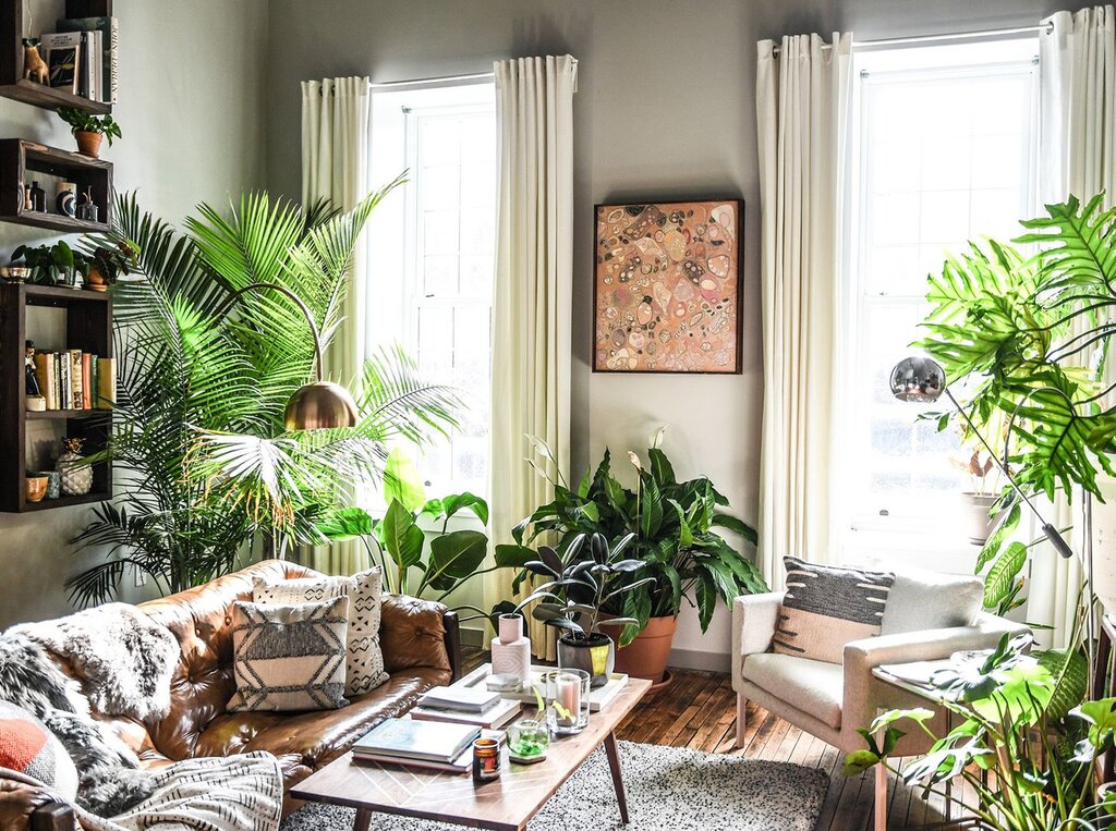 Houseplants in the living room interior