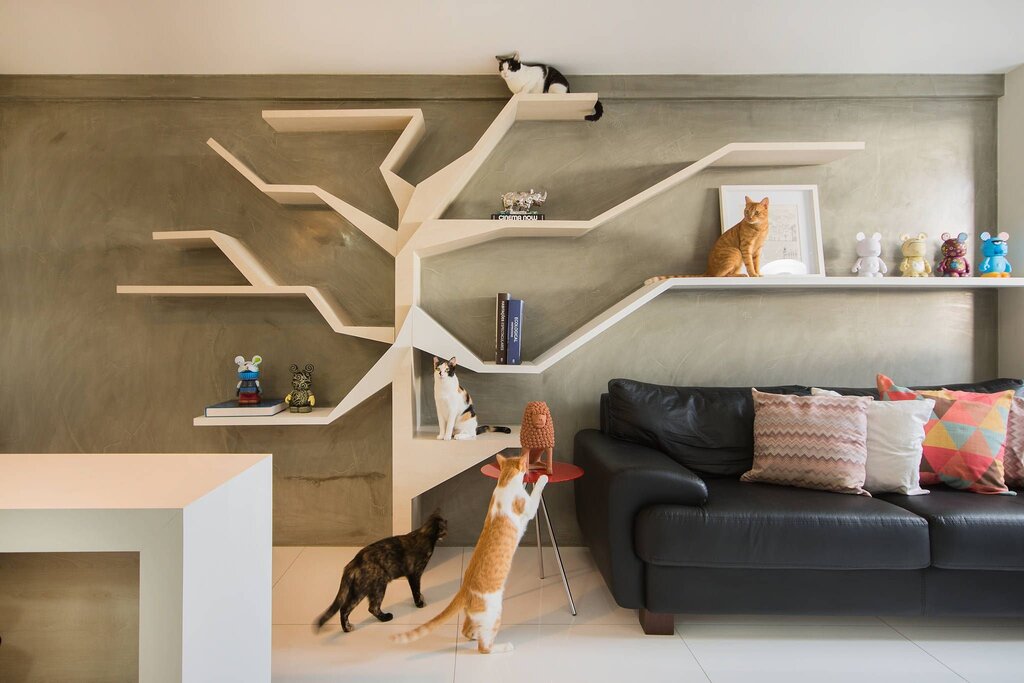 Cat shelves