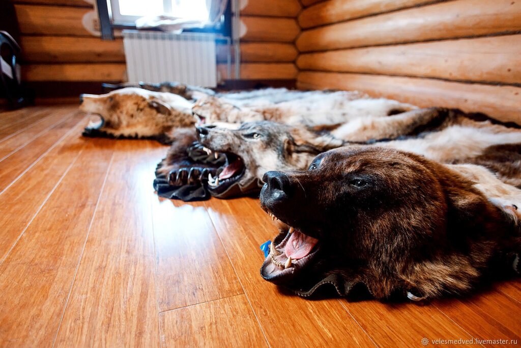 A rug made of wolf skin