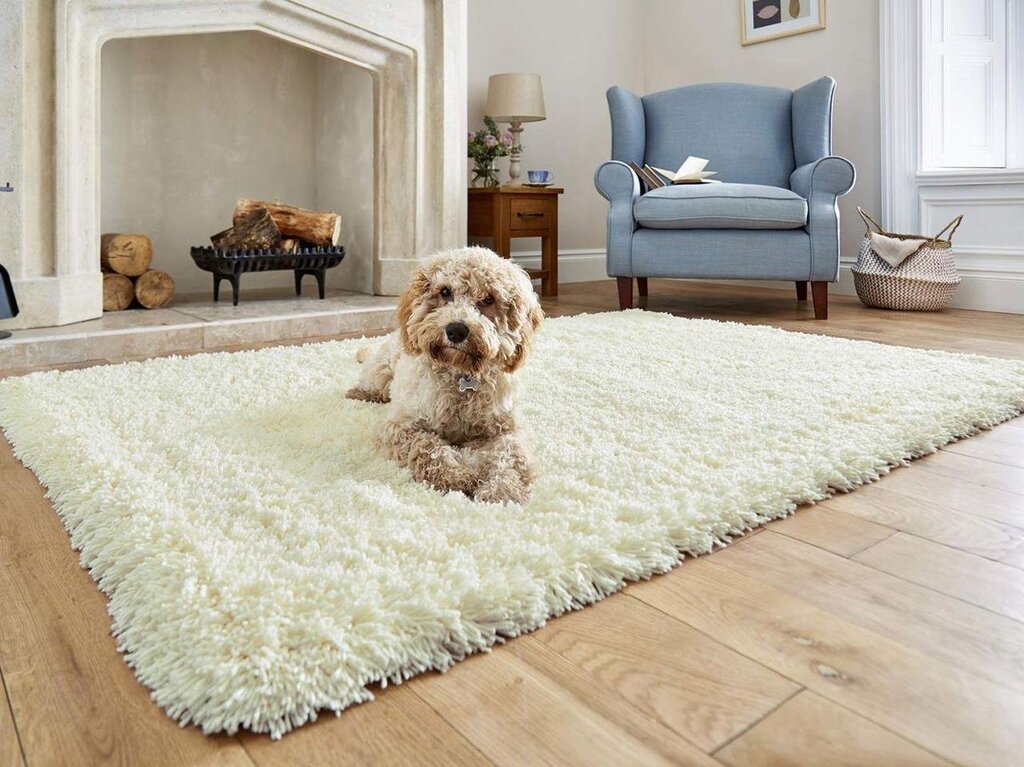 A carpet with pile