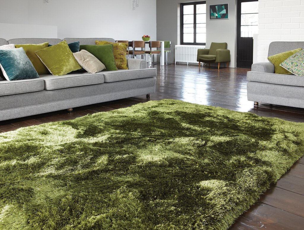 Carpet grass in the room