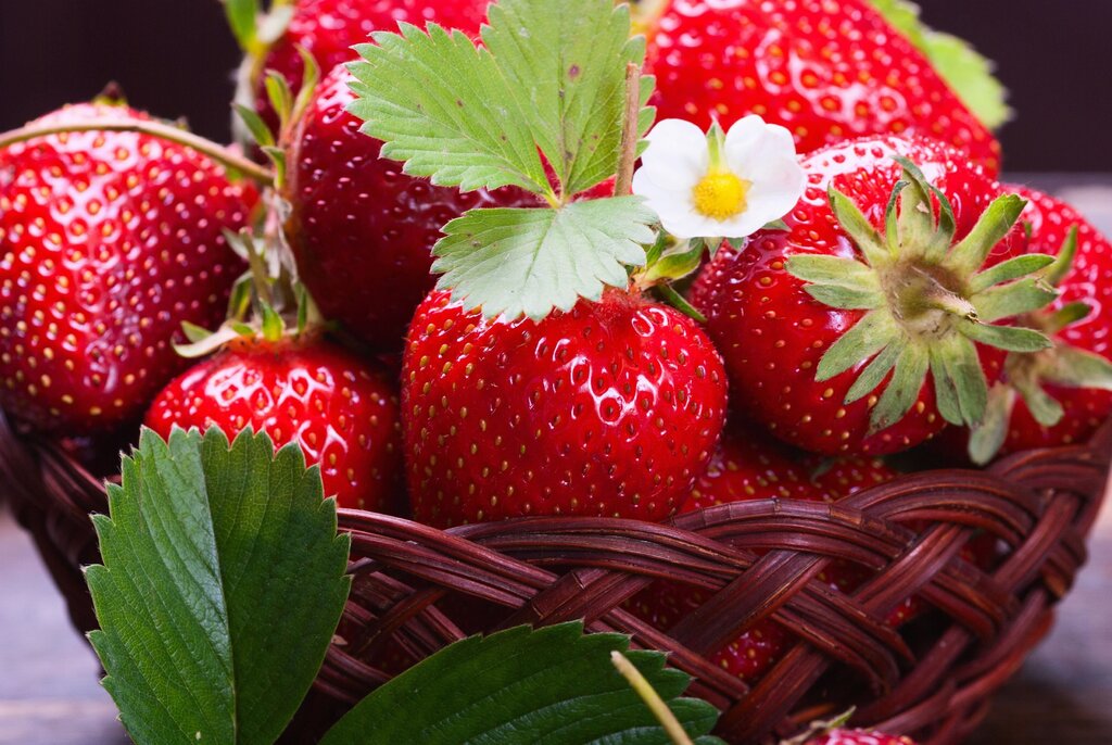 Beautiful pictures of strawberries