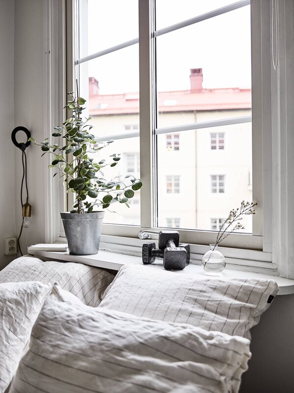 A bed on the windowsill