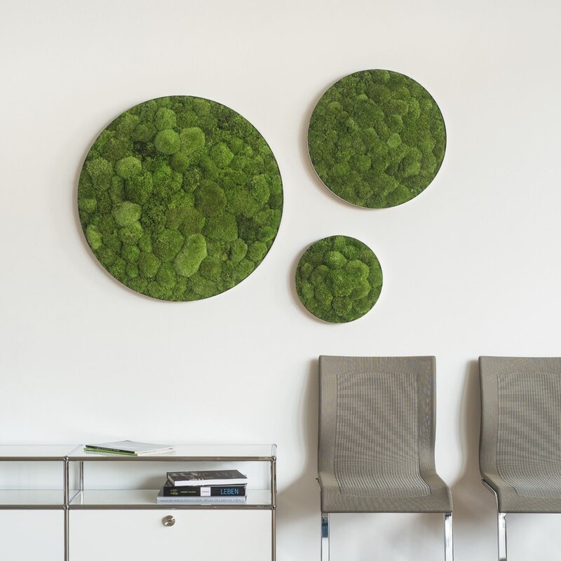 Round panel made of moss