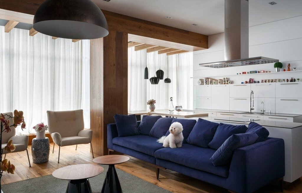 Living room kitchen with a blue sofa