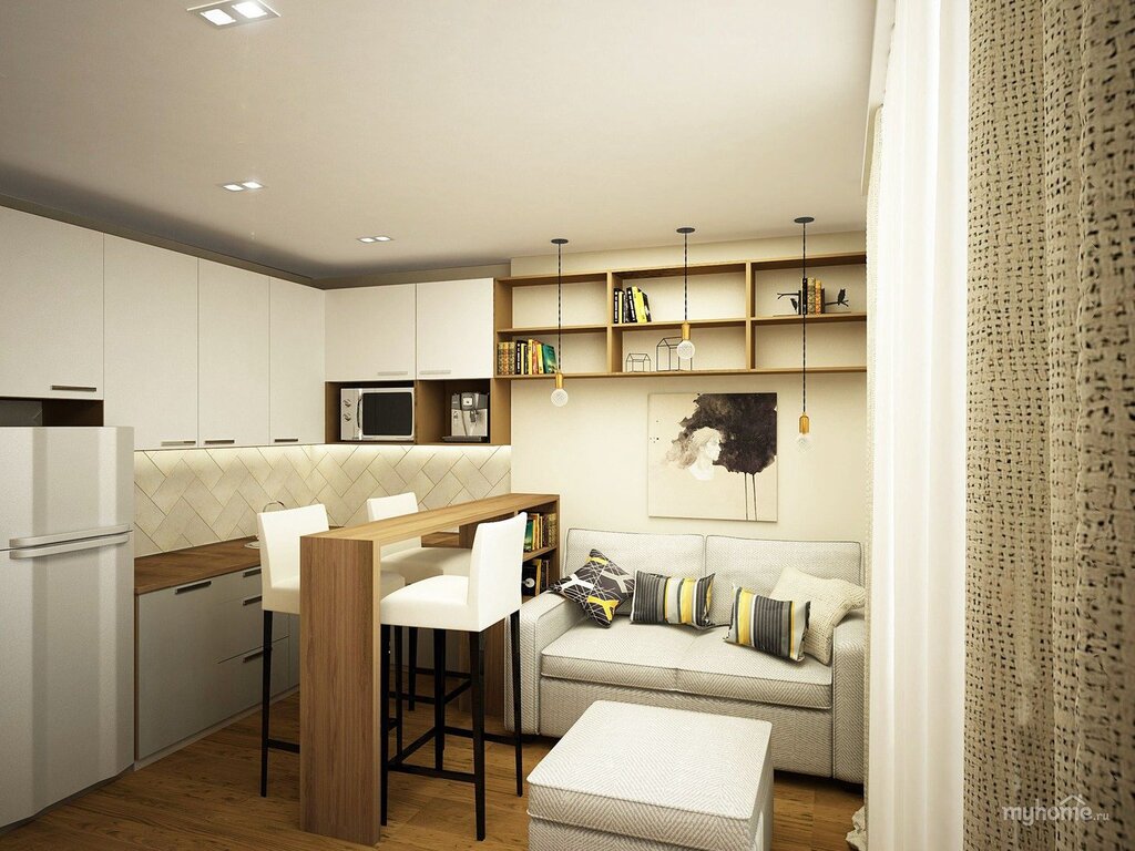 Kitchen-living room with a sleeping area