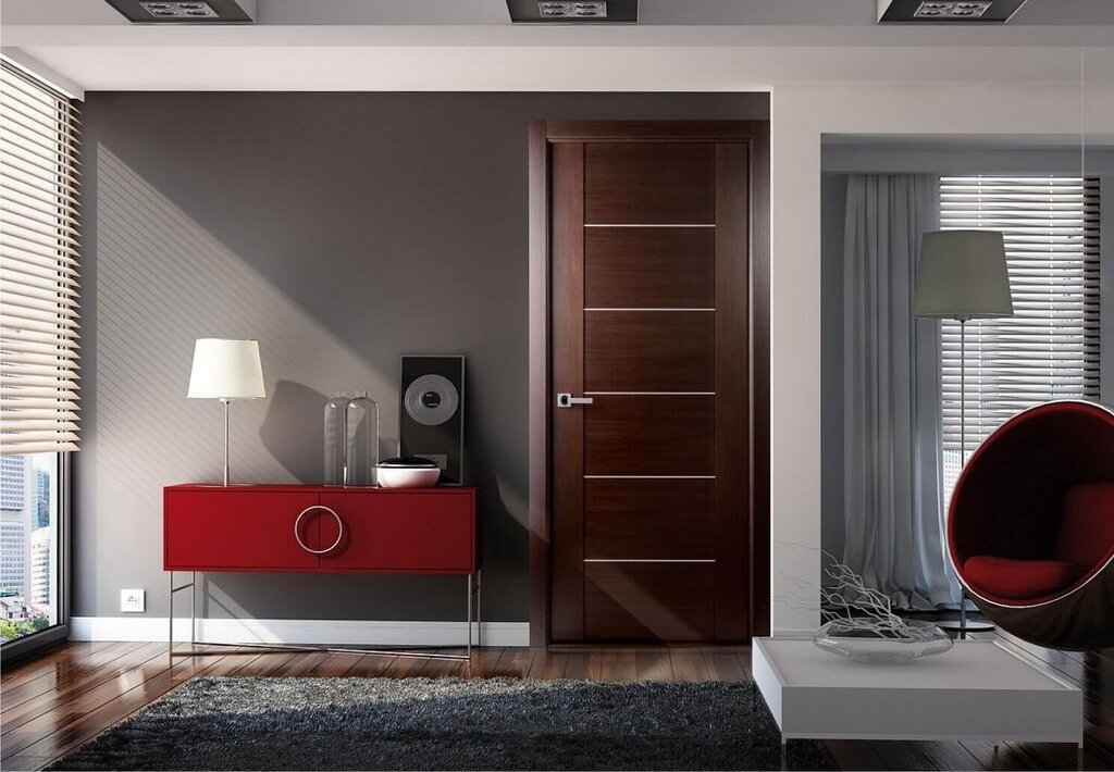 Interior doors in modern style