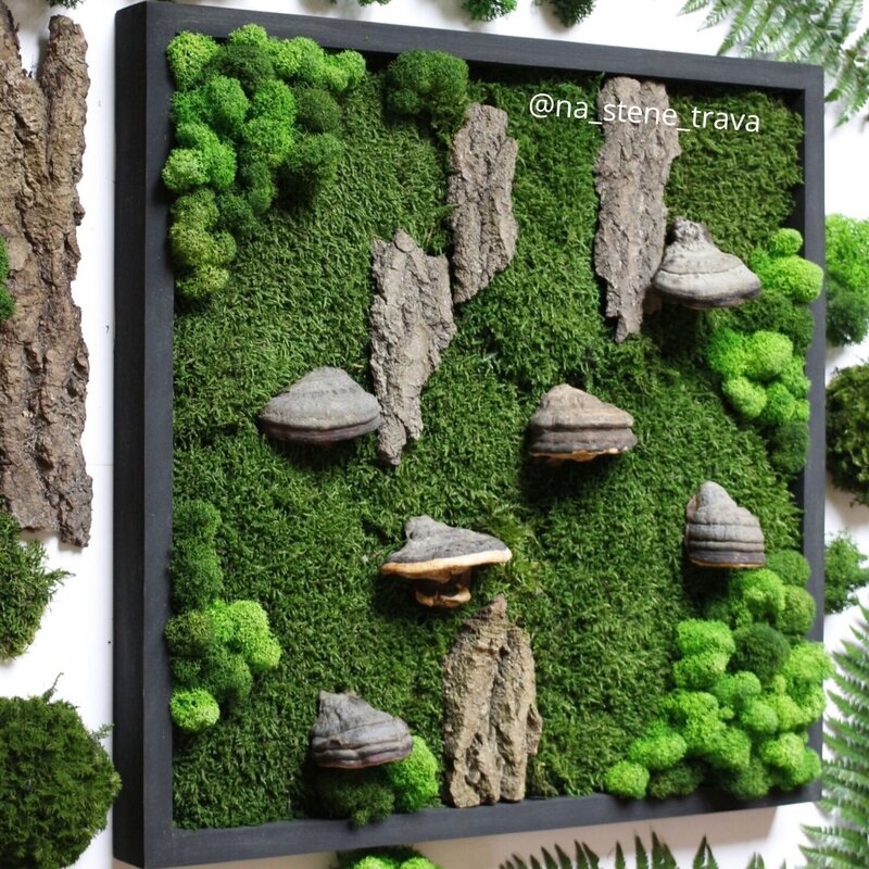 Moss for decoration