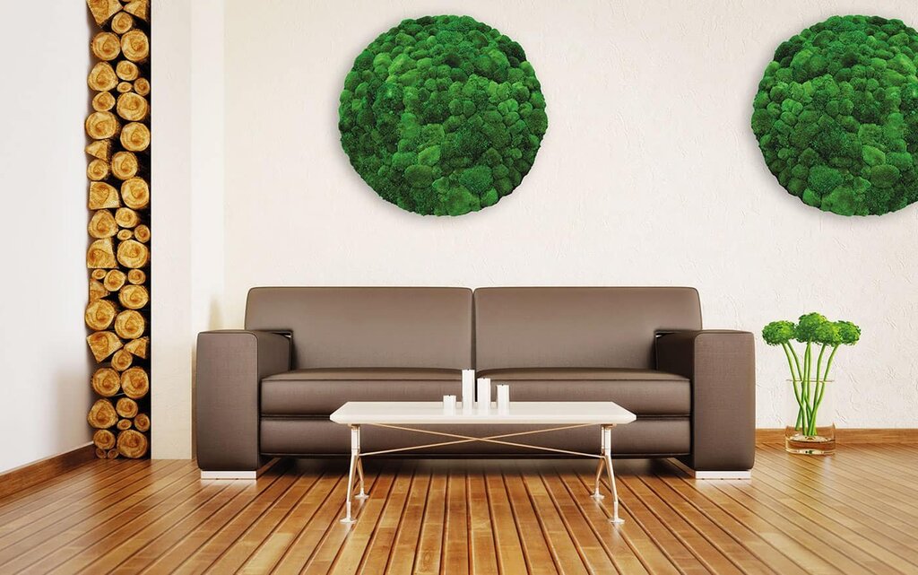 Moss for wall decoration