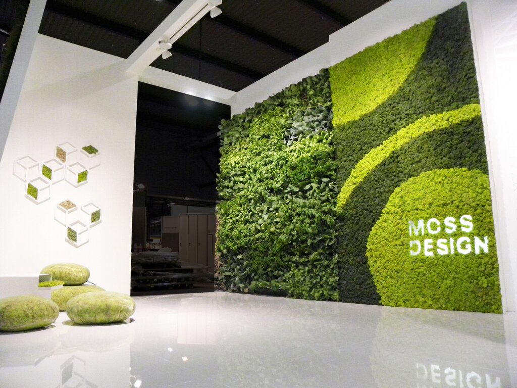 Moss in interior design