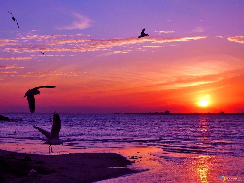 The sea sunset beautiful pictures