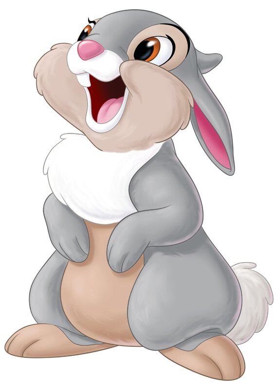 Cartoon bunny pictures