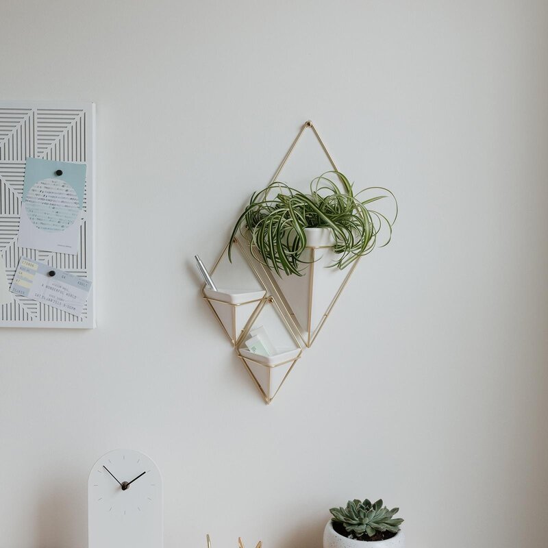 Wall planters in the interior