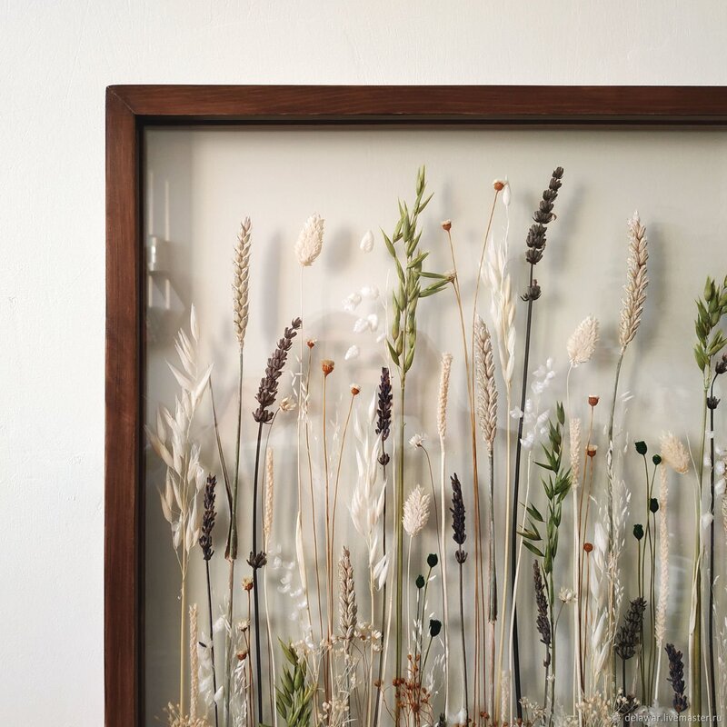 Wall Herbarium