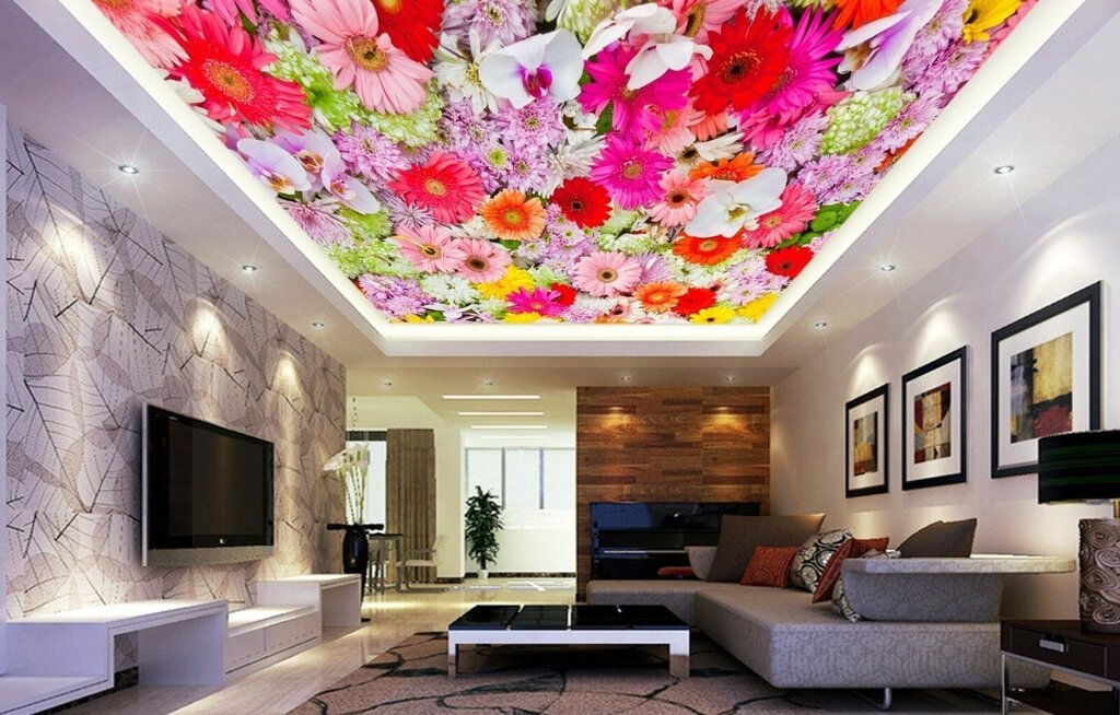 Stretch ceiling chintz