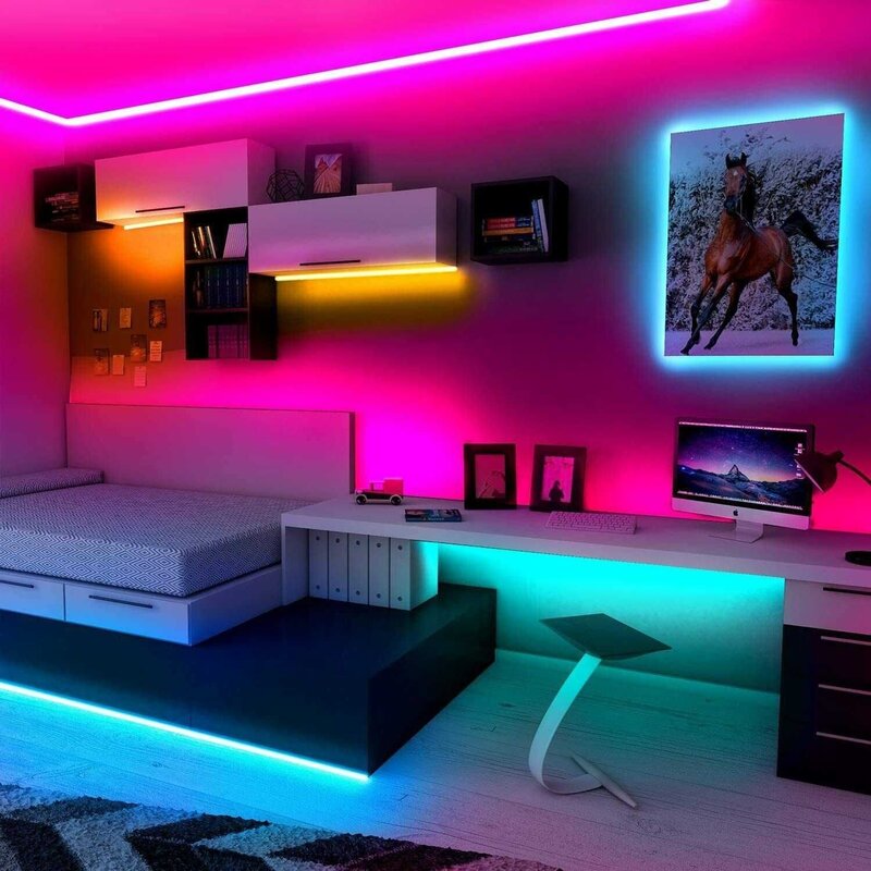 Neon backlight for the room with a remote control