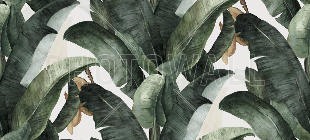 Banana leaf wallpaper