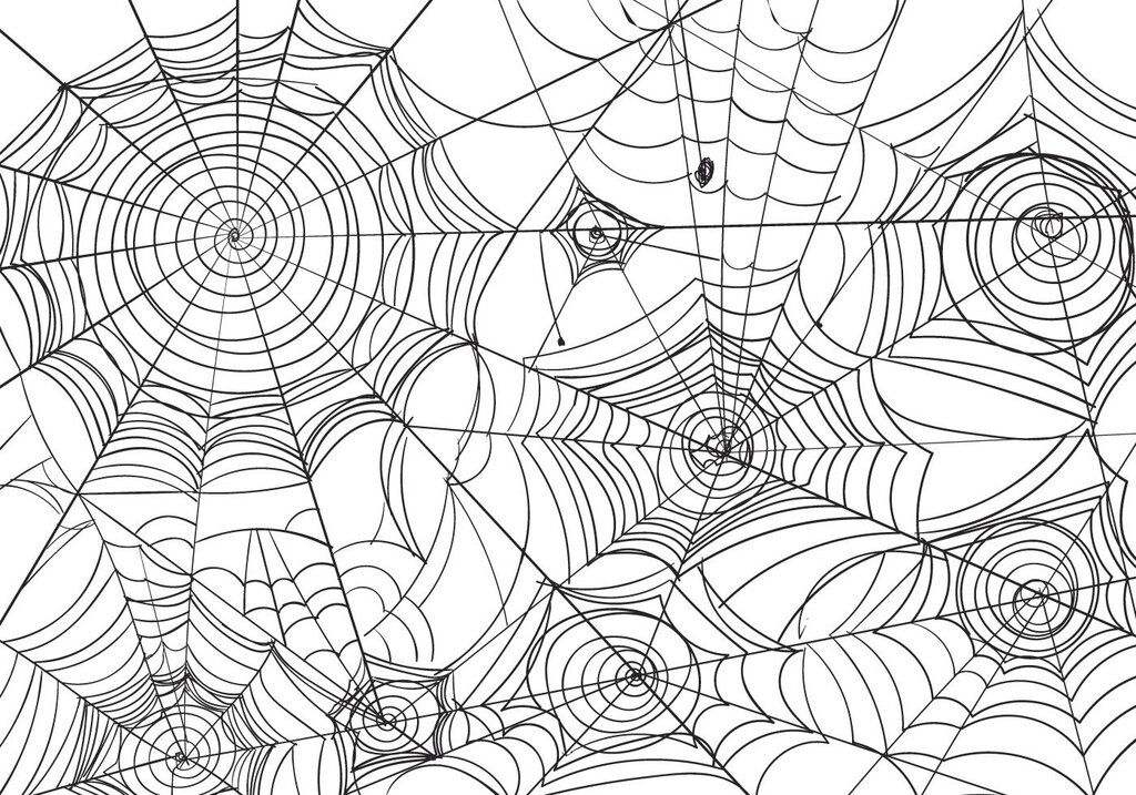 Spider web wallpaper