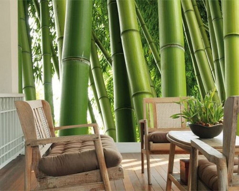 Bamboo wallpaper