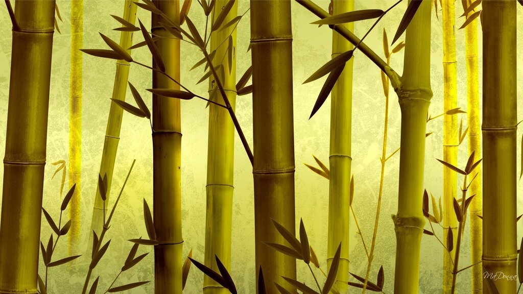 Wallpaper with bamboo for walls 38 фото