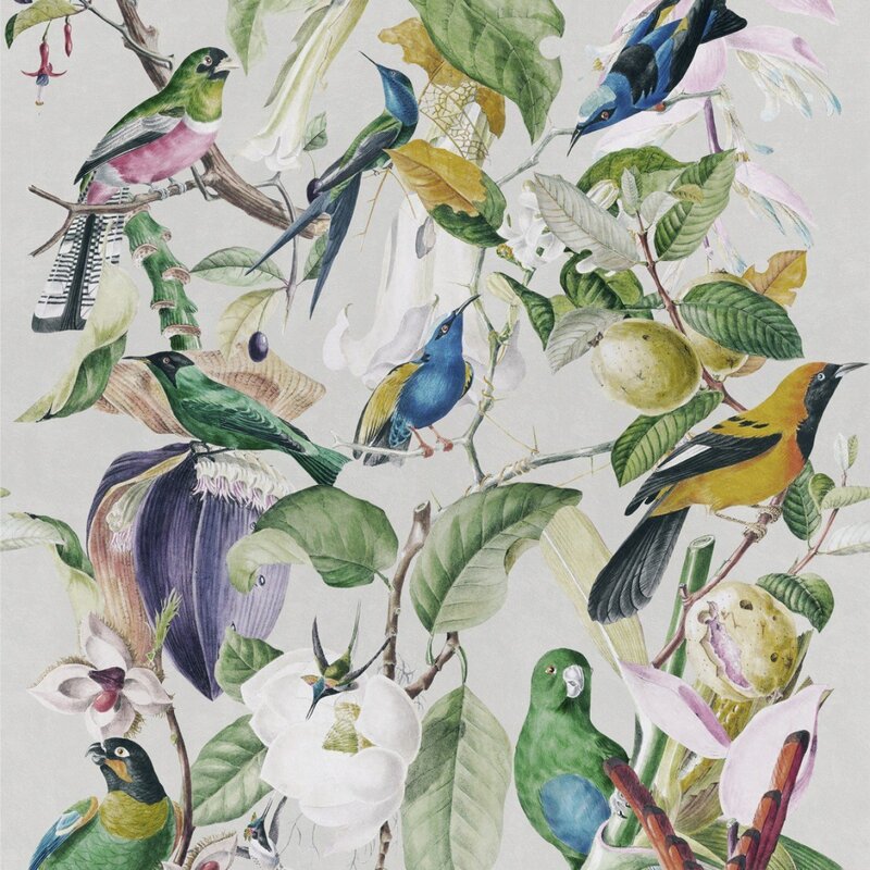 Wallpaper with birds for walls