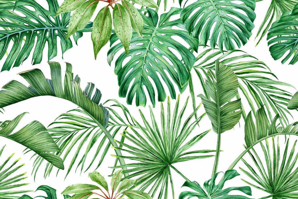 Tropical style wallpaper