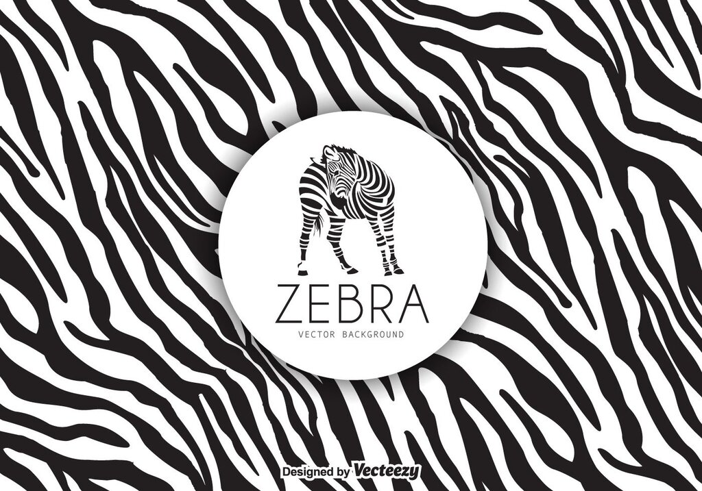 Zebra wallpaper 40 фото