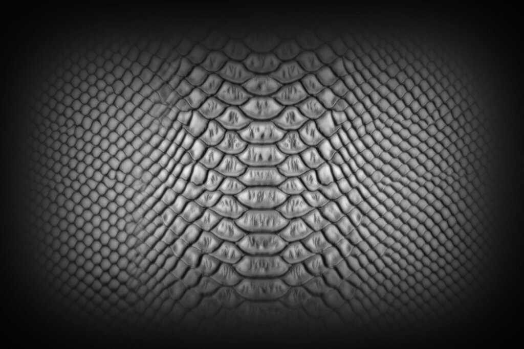 Snake skin wallpaper 42 фото