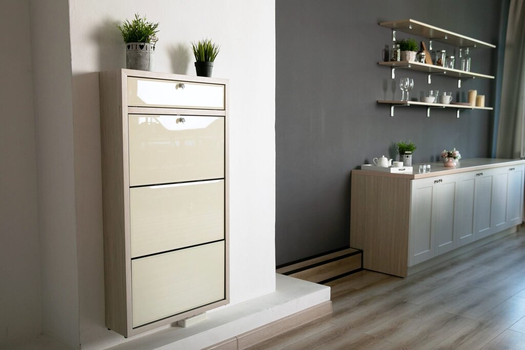 Shoe cabinet in the hallway interior