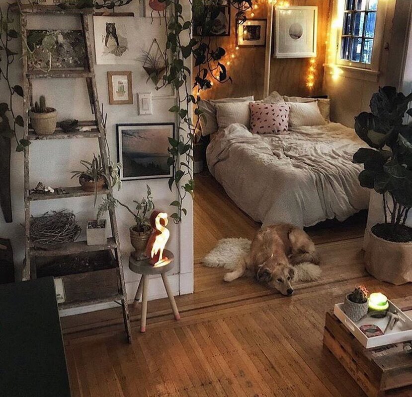 A very cozy room