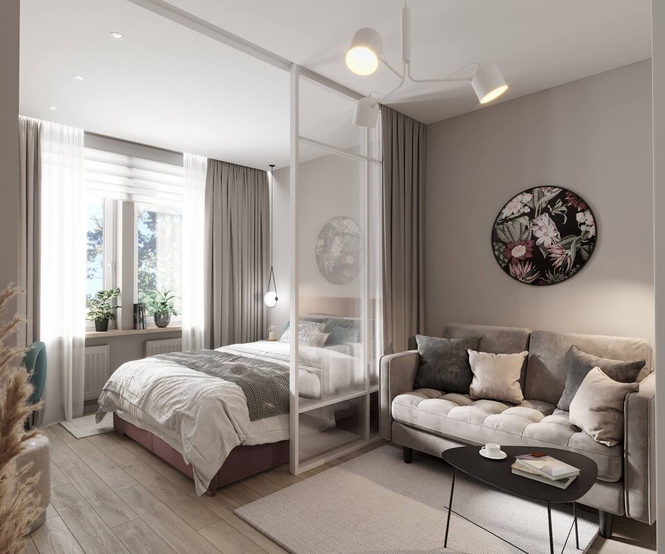 One-bedroom apartment with a partition for the bedroom