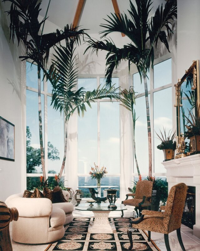 Palm trees in the apartment interior